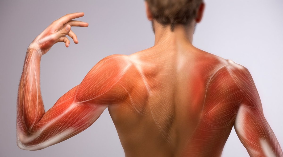 DELAYED ONSET MUSCLE SORENESS